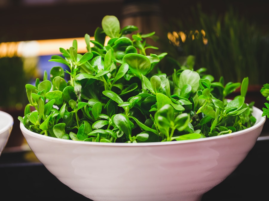 Primer plano de hojas verdes frescas de ensalada en un cuenco blanco, sobre un fondo borroso. Las hojas tienen un aspecto vibrante y saludable, lo que sugiere que están listas para ser utilizadas en una comida.